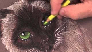 Sneak Peek | Paint Cat Eyes in Colored Pencil with Mark Menendez