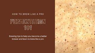 Beerco Brew Like a Pro - Fermentation 101