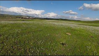 FPV through Lost Lake Park | San Joaquin Valley River