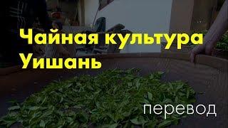 О чае чжэншань сяочжун из Уишань [русский перевод]