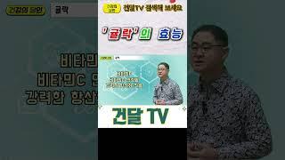 [건달TV] 건강 관리에 큰 도움 되는 감귤류의 이것!!#귤락#건달TV#건강정보