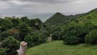 CAGUABO DE AÑASCO Y LAS CURVAS DE RINCÓN.