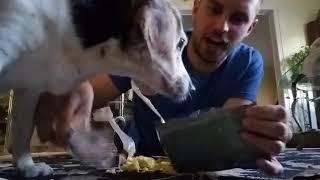 MRE review Menu 1 Red Neck vs Old Dog