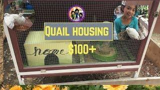 Quail housing $100+ perfect for kids