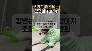 조회수 천만넘는 댕댕이(강아지) TOP4 #웃긴영상 #재미 #웃긴짤 #유머 #강