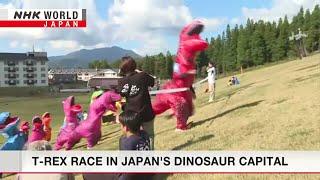 T-REX race in Japan's dinosaur capitalーNHK WORLD-JAPAN NEWS