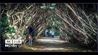 [4K HDR] 각종 촬영 명소 파주 벽초지 수목원 Byukchoji Gardens ‍️걷기 | Walking Tour 산책사진가