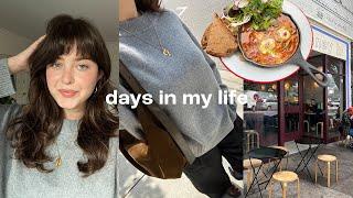 vlog: dark hair for fall, planning a free event in LA