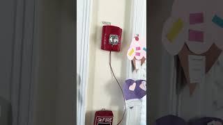 System test #1
