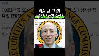 리플 큰 그림! “국가 전략 자산”