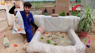 Aj Hum Ny Fish Fountain Bna Dia|| How To Make  Fish Fountain|| Hammad pet house