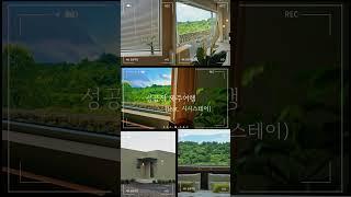 제주여행 성공하자 제주동쪽숙소 감성스테이