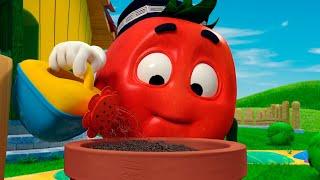 TOMATO DOPPI Garden And More Craziest Adventures  FOR KIDS