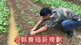 The young man's new plan for breeding is to plant anti-season peppers on a large scale and transfor