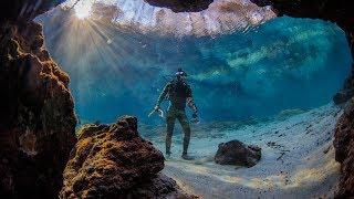 Found Crystal Clear Swimming Spot in Florida! (Beware Alligators) | DALLMYD