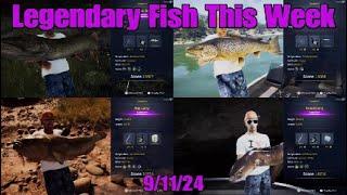 How To Catch All 4 Legendary Fish This Week 9/11/24 COTW The Angler Easy Guide