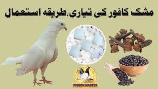 How to Prepair Mushk Kafor for Pigeons Long Flight