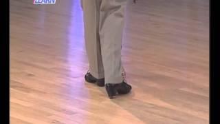 SALSA Lesson 1   Brginning Introduction