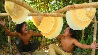 Unbelievable! Two Brave Brothers Harvesting Three Beehive Barehanded