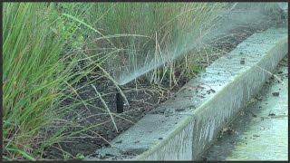 Troubleshooting Sprinkler Zone Flow Problems