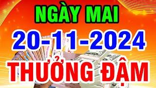 Tử Vi Ngày 20/11/2024 Cơ Hội TRÚNG SỐ ĐỔI ĐỜI 5 Con Giáp ĐÓN ĐẠI LỘC Sau 18h30 Lĩnh Thưởng | DLTV