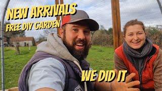 More additions to the farm AND we made an offgrid garden for FREE!