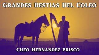 Cheo Hernandez Prisco - Grandes Bestias del Coleo (Video oficial)