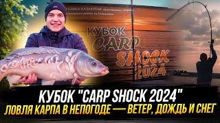 Кубок "Carp Shock 2024" ловля карпа в непогоде ветер, дождь и снег