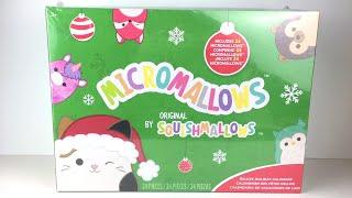 Squishmallows Micromallows Deluxe Holiday Calendar 24 Mini Plush  Unboxing & Review #squishmallows