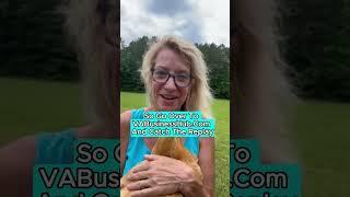 Learn what every Virtual Assistant business needs.