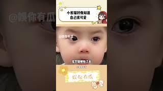 怎么会有小熊猫这么可爱的小动物！#小熊猫 #小熊猫不是小浣熊 #动物 #可爱