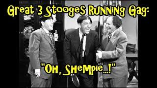 Great 3 Stooges Running Gag: "Oh, Shempie...!"