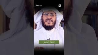 وهديناه النجدين | غريب القرآن