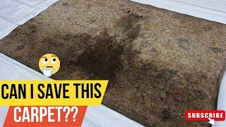 This Rug’s Rescue Looked Impossible | Satisfying Rug Cleaning  | C3 LAUNDRY SERVICES 