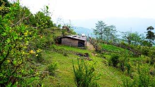 a family in the jungle || life in rural Nepal @junglefamilycooking