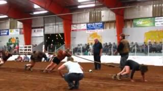 Hants County Ex. Womens Tug of War Final