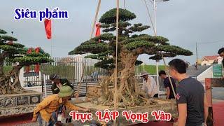 Siêu phẩm TRỰC LẬP VỌNG VÂN Đã về TL Bách Thuận