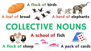 100 Common Collective Nouns in English | English for Beginners