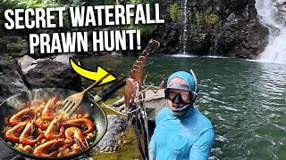 Catching Shrimp in waterfall & COOK OVER FIRE ON ROCK