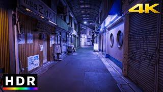 Tokyo Suburbs: Setagaya Night Walk // 4K HDR Spatial Audio