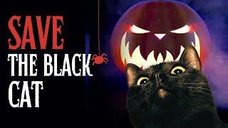 THE HALLOWEEN CAT HERO #blackcat #cats #cat #catvideos #catlovers #halloween