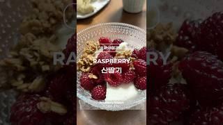여름 제철과일 산딸기 Raspberry