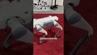I Bet Your Dog Can’t Backflip #ICRA2025 #deeprobotics