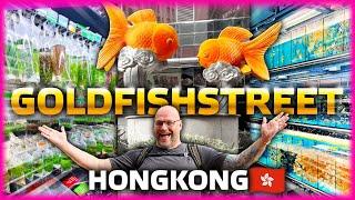 Fischmarkt in HONG KONG, die GOLDFISHSTREET