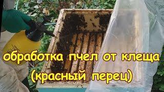 пчеловодство, обработка пчел от клеща (записки новичка)