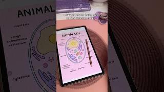 Digital note taking ️‍ Samsung galaxy tab S9+ | Penly android app | study digital notes