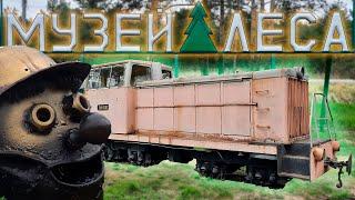 Narrow-gauge railway of the forest museum in Sharya