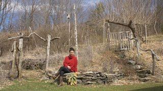 MULLEIN Deep Dive: Lung Ally & Global Weed. How to Identify, Harvest and Prepare it! (Part 1 of 3)