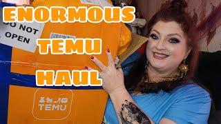 ENORMOUS TEMU HAUL | August 3, 2023