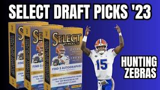 NFL 2023 Card Adventure: Zebra Hunt & Anthony Richardson Prizm Reveal! | NomadicBallers